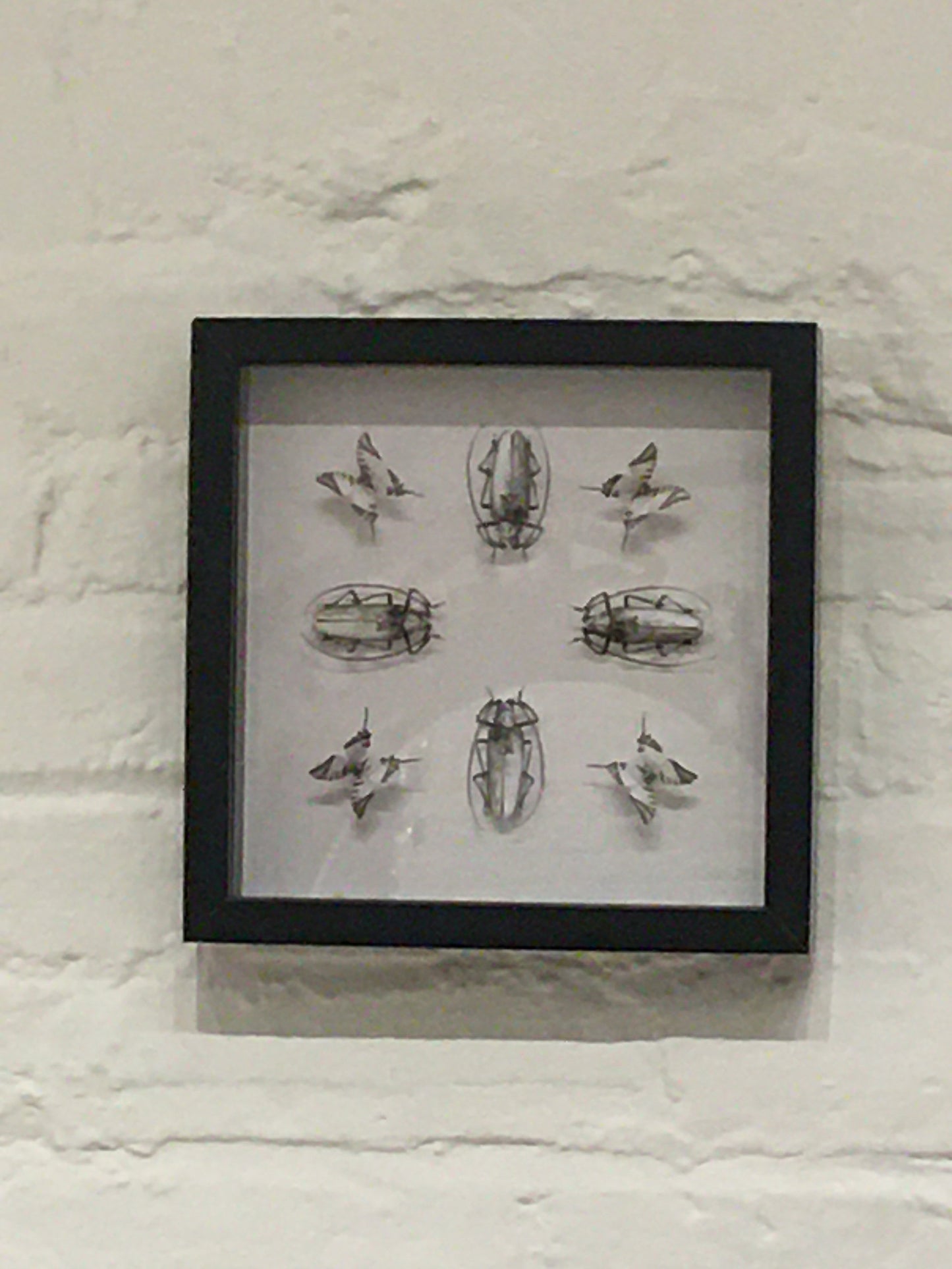 Limited Edition Art