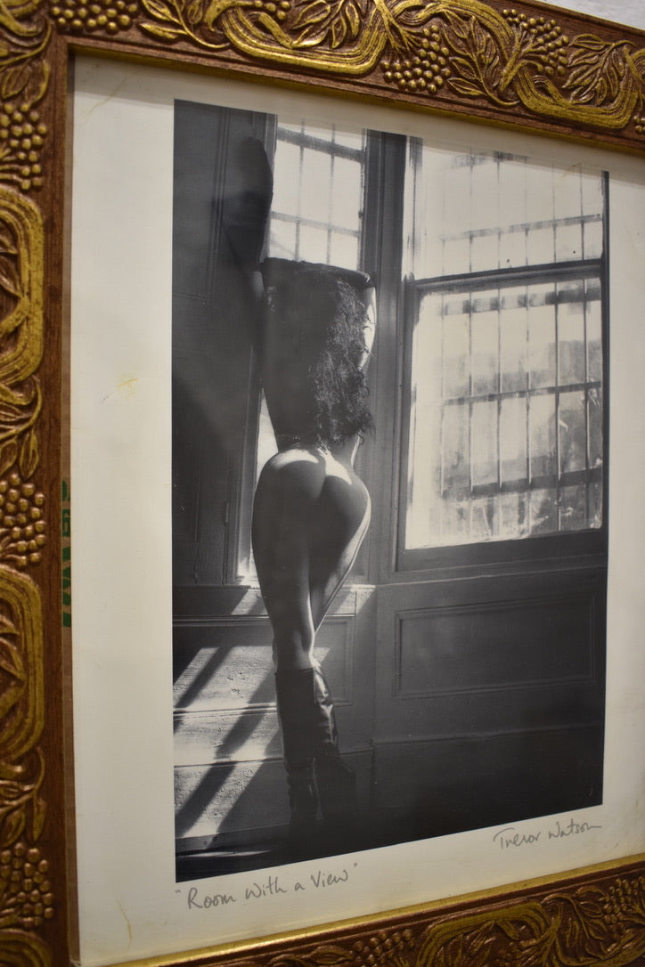 'Room with a view' by Trevor Watson