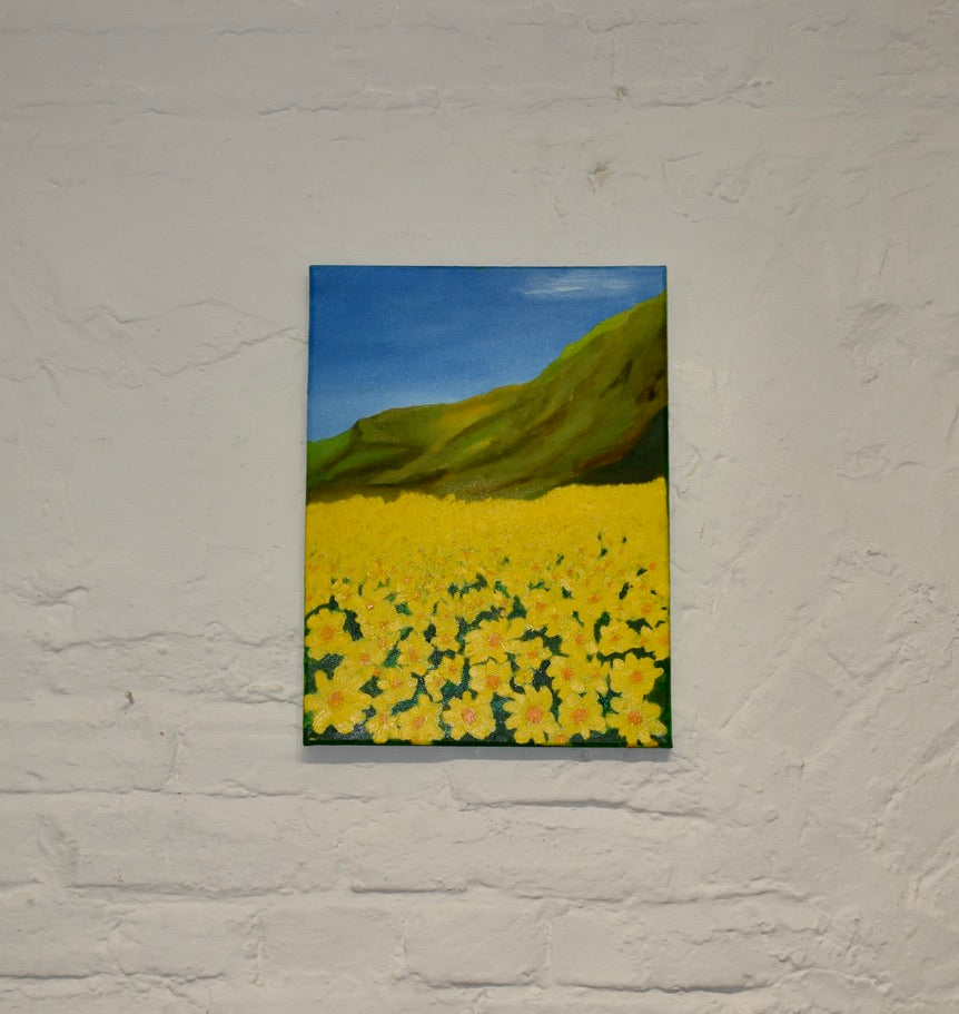 'Wild Daffodils' by Andy Walters