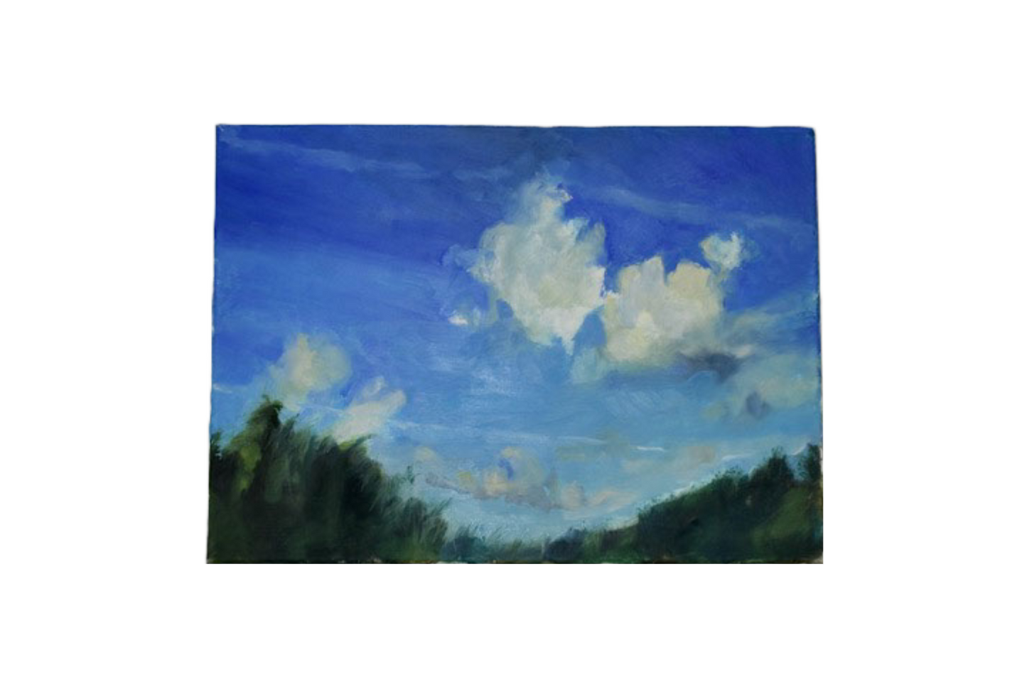'Untitled' by Debbie Barton